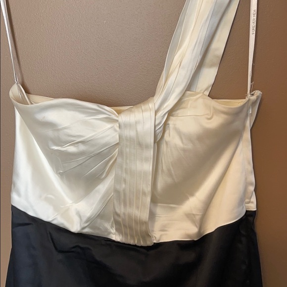 Black and White Satiny Dress - Picture 2 of 3